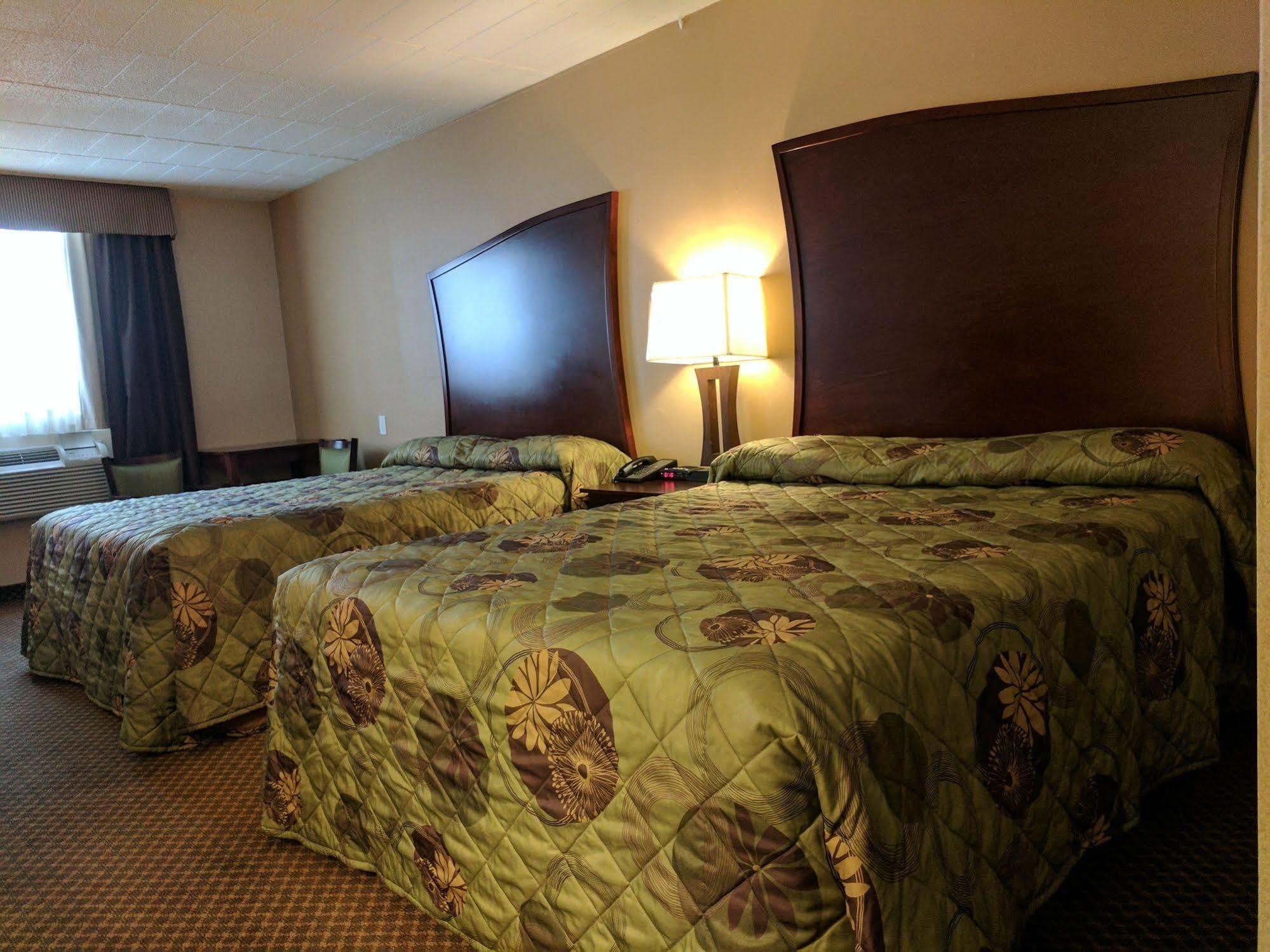 Luxury Inn Collingwood Eksteriør billede